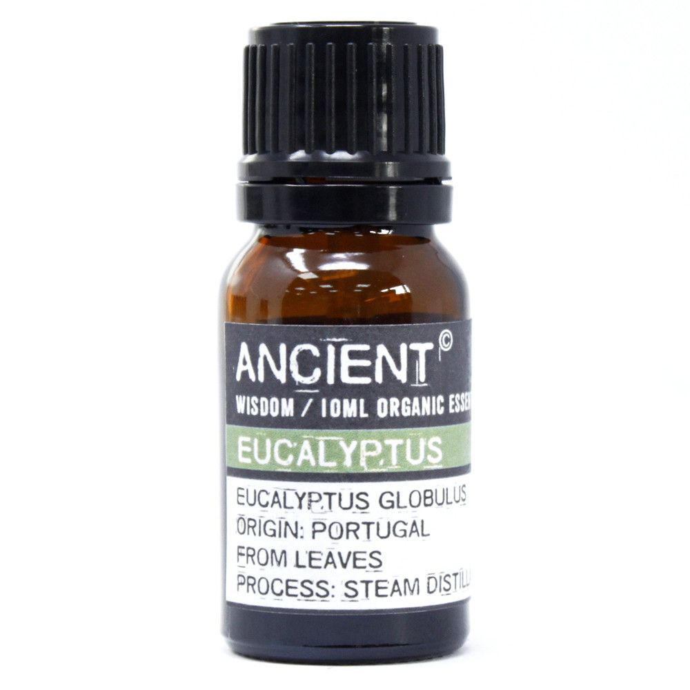 Bio Eukalyptus Ätherisches Öl 10ml